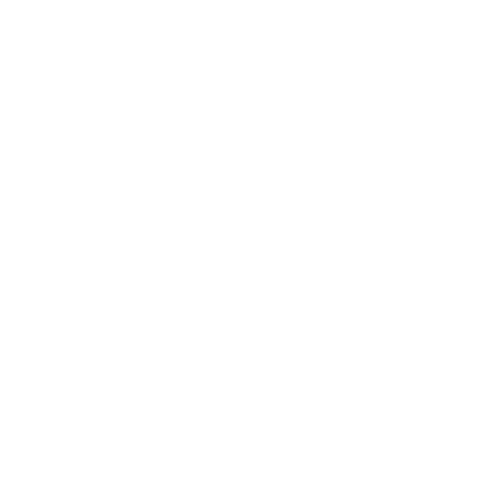 Logo Carvalho & Neves Seguros